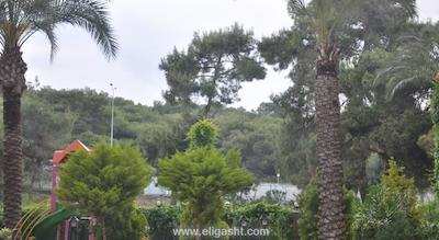 لارا هادریانوس