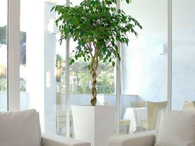 مرکور ریمینی لونگومار