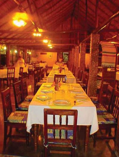 نوتوتون پالنک