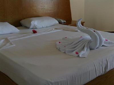 بلو ریف مارسا آلام