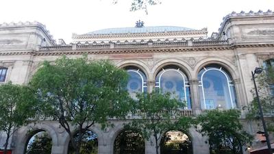 ریوز د نتر دام