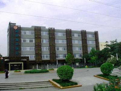 لانگوو جینگپین