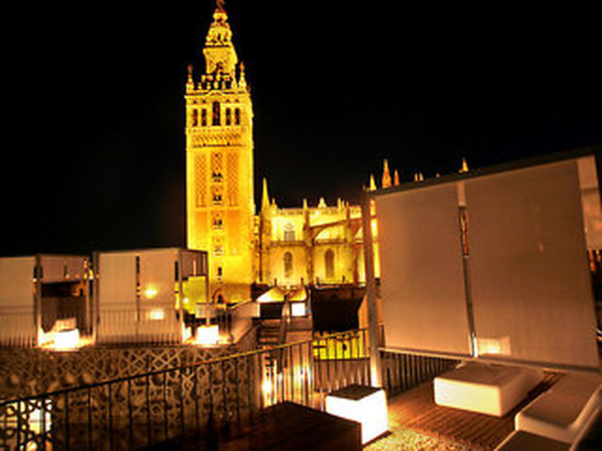 ام کاتدرال