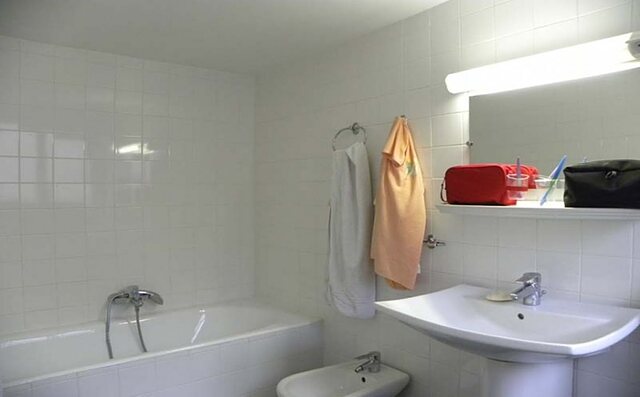 کاملیا اینترنیشنال