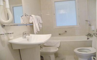 کاملیا اینترنیشنال