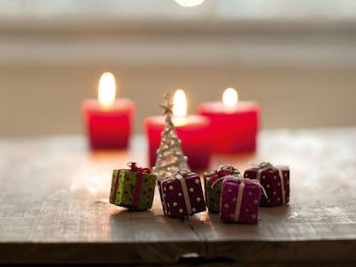 نوتل ادینبورگه پارک