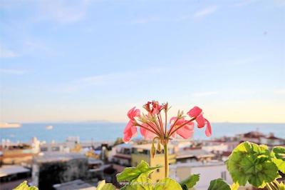 هتل هیستوریا-اسپشیال کتگوری