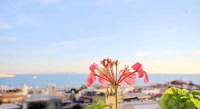 هتل هیستوریا-اسپشیال کتگوری