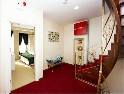 اوتامان تولیپ