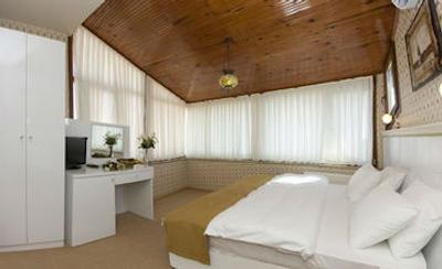 اوتامان تولیپ