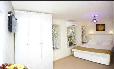 اوتامان تولیپ