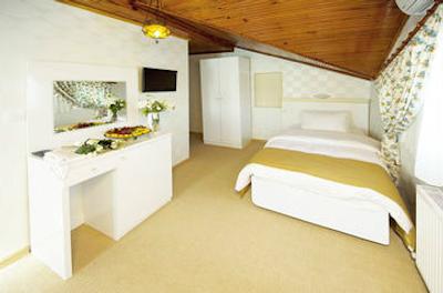 اوتامان تولیپ