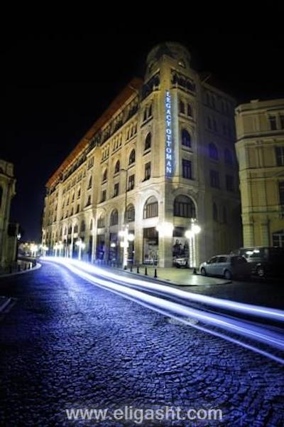 اوتامان تولیپ