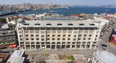 اوتامان تولیپ