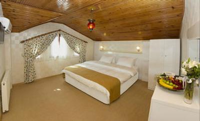 اوتامان تولیپ