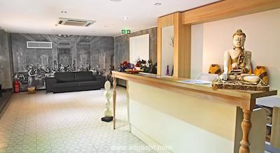 اوتامان تولیپ