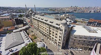 اوتامان تولیپ