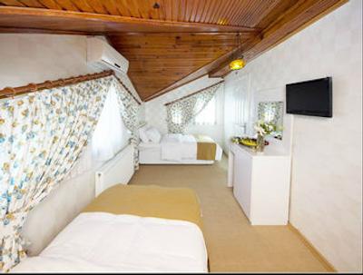 اوتامان تولیپ