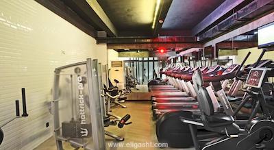 اوتامان تولیپ