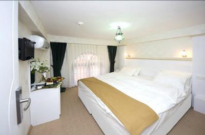 اوتامان تولیپ