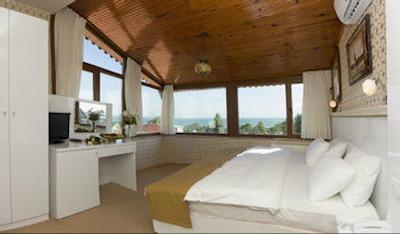 اوتامان تولیپ