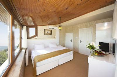 اوتامان تولیپ