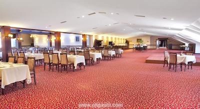 اوتامان تولیپ