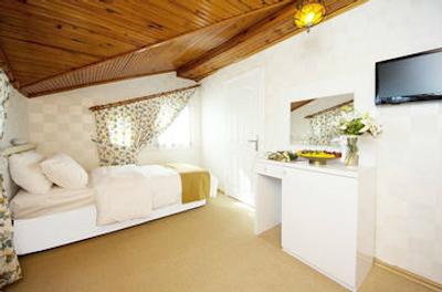 اوتامان تولیپ