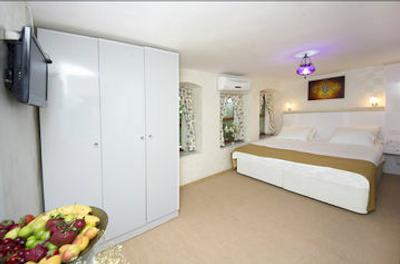 اوتامان تولیپ