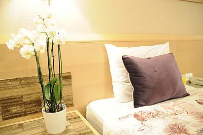 د اس ‌وی هتل تکسیم