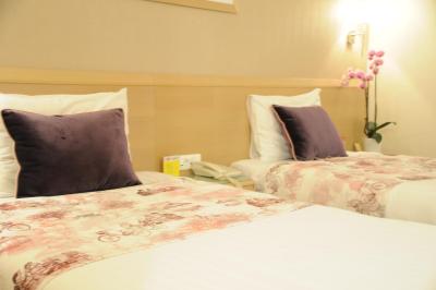 د اس ‌وی هتل تکسیم