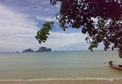 تونسای ب ریزرت