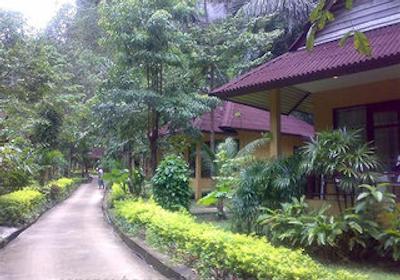 تونسای ب ریزرت