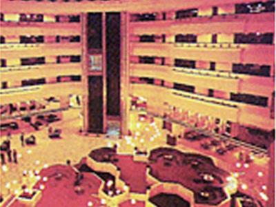 سنتاور آی جی آی ایرپورت