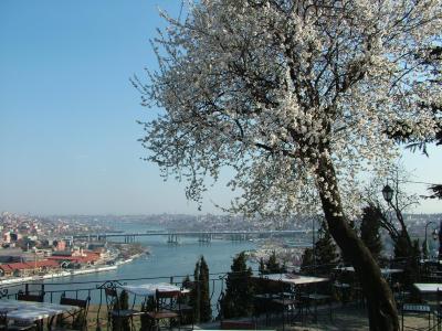 تورکوهاوس هتل