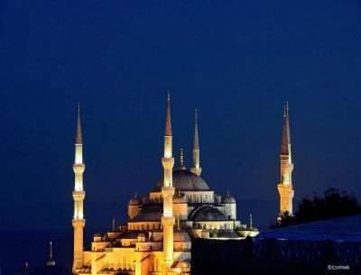 آدامار هتل-اسپشیال کتگوری