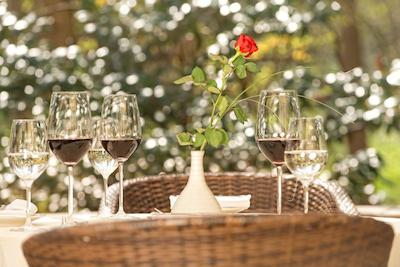 هتل ویلا ولتموهل درسدن