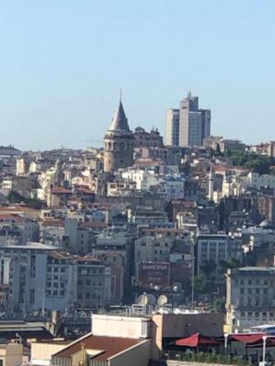 آلباتروس هاگیا سوفیا