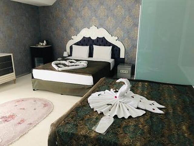 آلباتروس هاگیا سوفیا