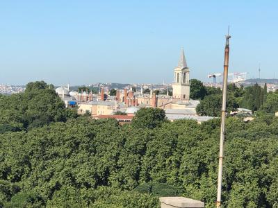 آلباتروس هاگیا سوفیا