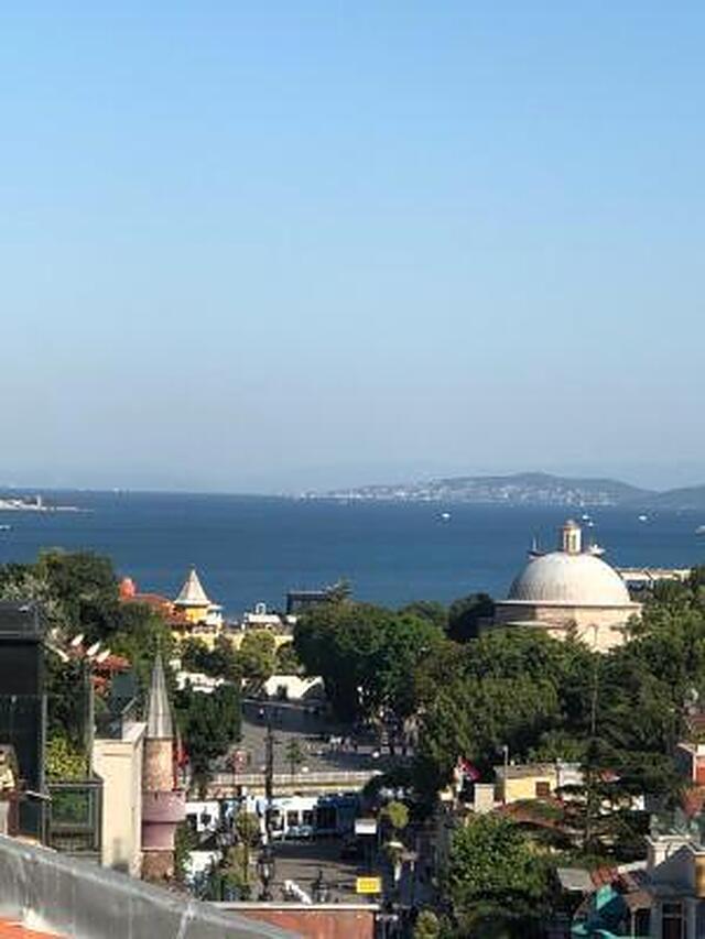 آلباتروس هاگیا سوفیا