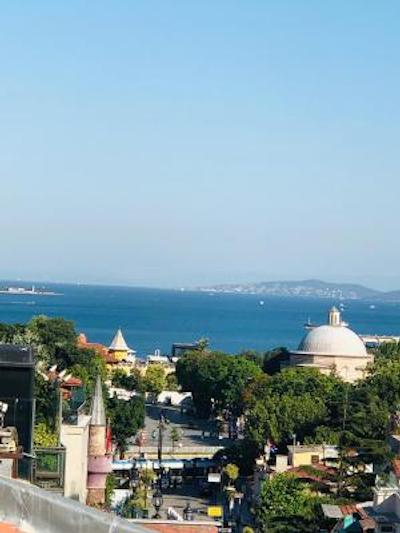 آلباتروس هاگیا سوفیا