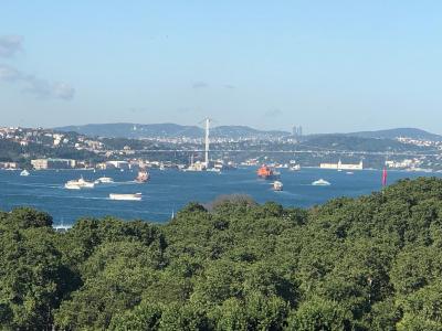 آلباتروس هاگیا سوفیا