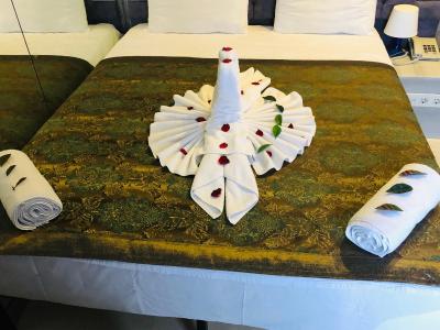 آلباتروس هاگیا سوفیا