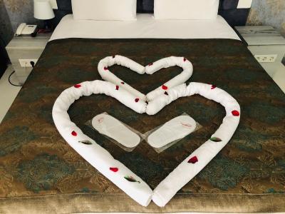 آلباتروس هاگیا سوفیا