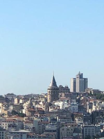 آلباتروس هاگیا سوفیا