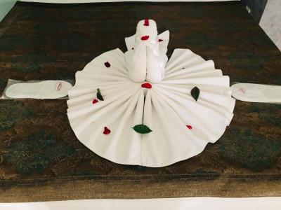 آلباتروس هاگیا سوفیا