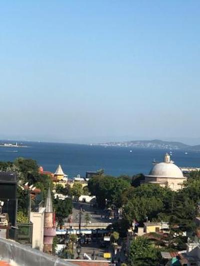 آلباتروس هاگیا سوفیا