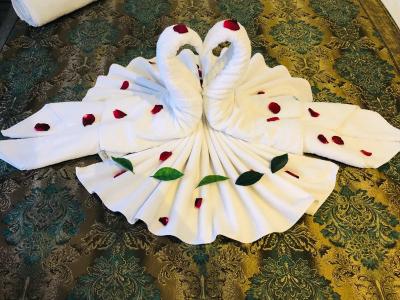 آلباتروس هاگیا سوفیا