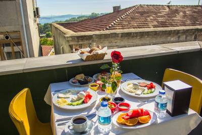 آلباتروس هاگیا سوفیا